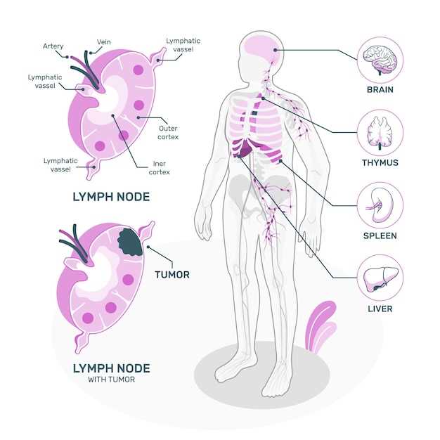 Роль аксиллярных лимфатических узлов в организме