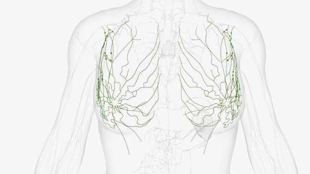 В какой области расположены аксиллярные лимфатические узлы?